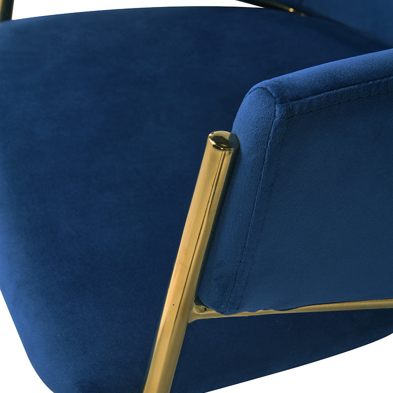 Dalila Eetkamerstoel [Set van 2] [Fluweel]