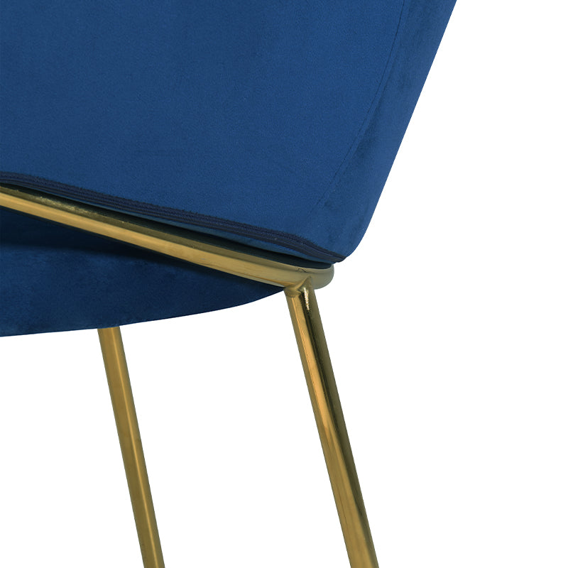 Dalila Eetkamerstoel [Set van 2] [Fluweel]