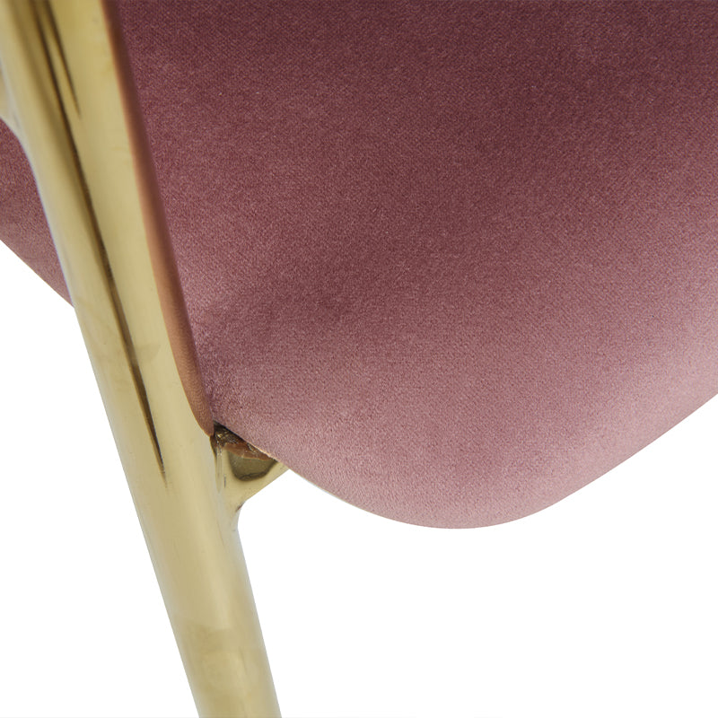 Dalila Eetkamerstoel [Set van 2] [Fluweel]