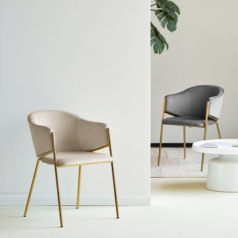 Dalila Eetkamerstoel [Set van 2] [Fluweel]