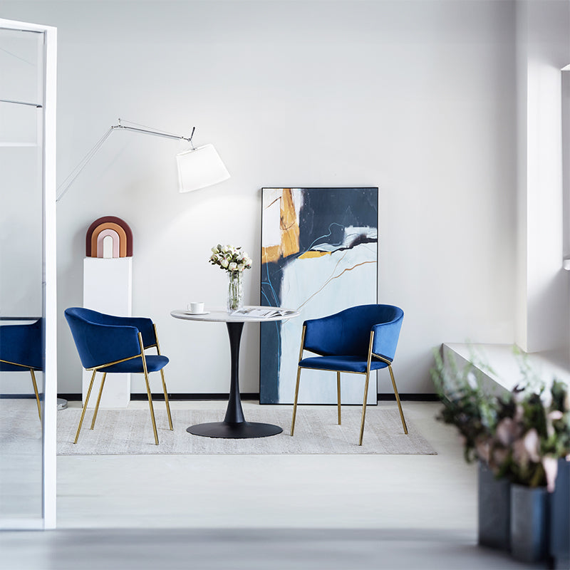 Dalila Eetkamerstoel [Set van 2] [Fluweel]