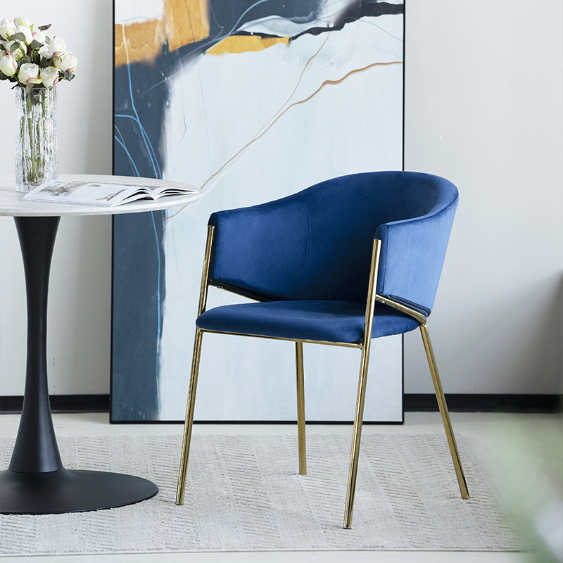 Dalila Eetkamerstoel [Set van 2] [Fluweel]