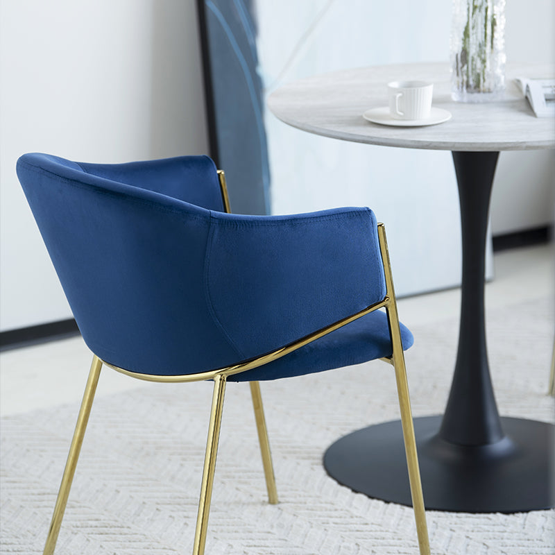 Dalila Eetkamerstoel [Set van 2] [Fluweel]