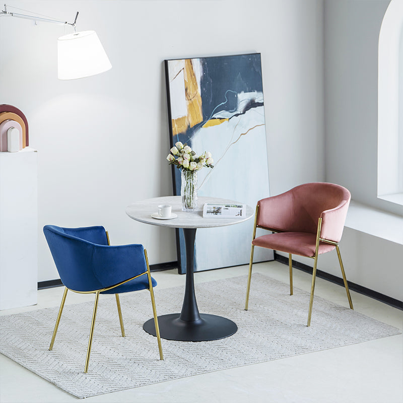 Dalila Eetkamerstoel [Set van 2] [Fluweel]