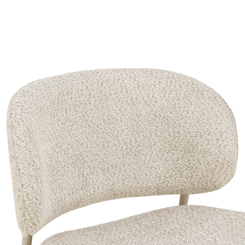 Hadley Eetkamerstoel [Set van 2] [Boucle Stof]